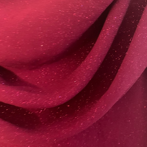 Gorgeous Karina Nites Gown - Picture 6 of 10